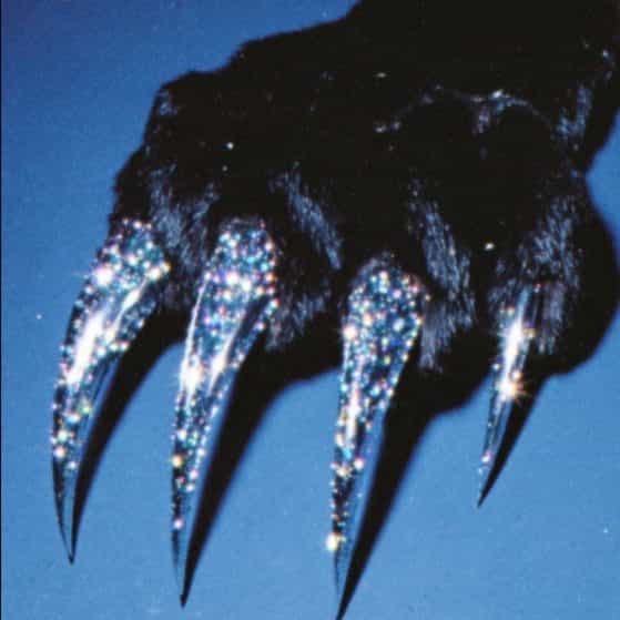 Beat Dark Trap 008 G 152bpm beat dark trap 008 g 152bpm hard trap beat trap beat hard trap instrumental free hard trap beat hard type instrumental