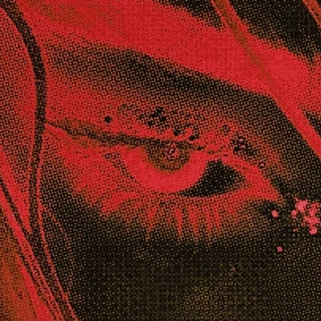 Beat Mafia Trap 149 AM 141bpm