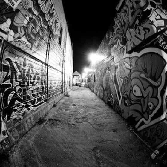 Beat Mafia Trap 161 D 151bpm beat mafia trap 161 d 151bpm mafia trap beat slowed future type beats mafia trap type beat free beats mafia beat