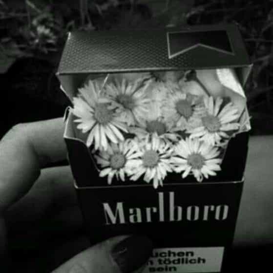 Beat Mafia Trap Vol2 091 DM 162bpm beat mafia trap vol2 091 dm 162bpm dark mafia type trap type beat type beat future beat type latin mafia trap best mafia music future type beat